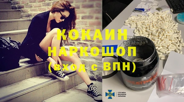 прущие грибы Новокубанск