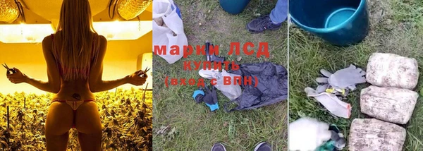 прущие грибы Новокубанск
