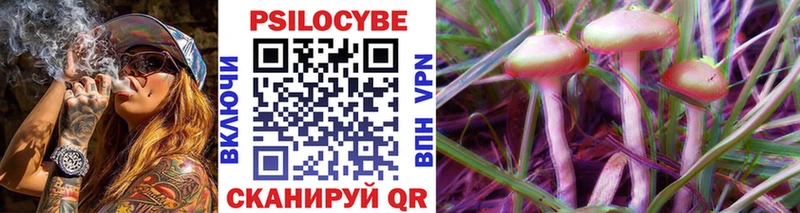 Псилоцибиновые грибы Psilocybine cubensis  Купить закладки  Тотьма 